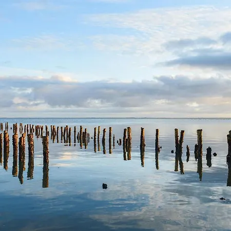 3 Bedroom Lovely In Romo