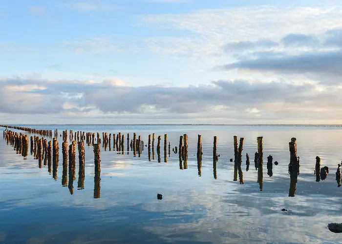 3 Bedroom Lovely In Romo